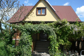 Hotels in Krasnobród